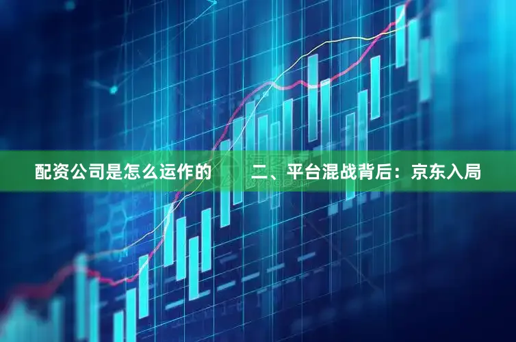 配资公司是怎么运作的        二、平台混战背后：京东入局