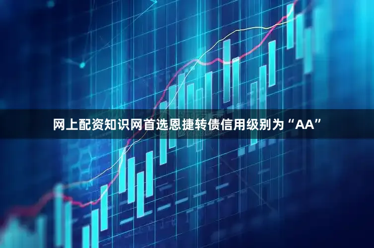 网上配资知识网首选恩捷转债信用级别为“AA”